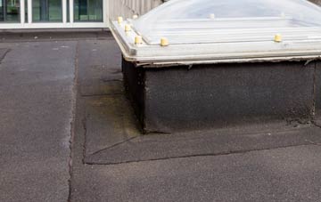 disadvantages of The Fall flat roofs
