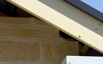 soffit repair The Fall